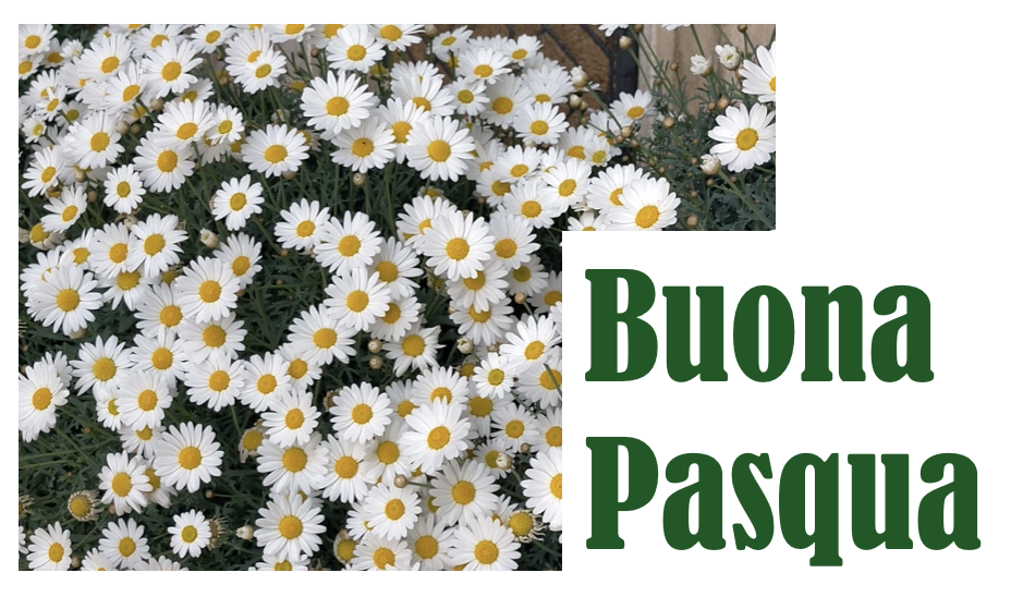 Auguri di Buona Pasqua!