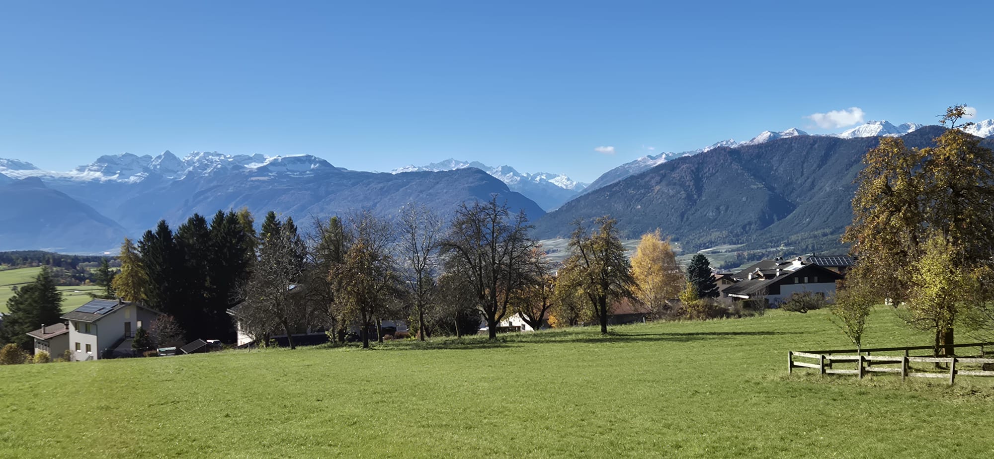 WhatsApp Image 2026-01-20 at 11.05.39